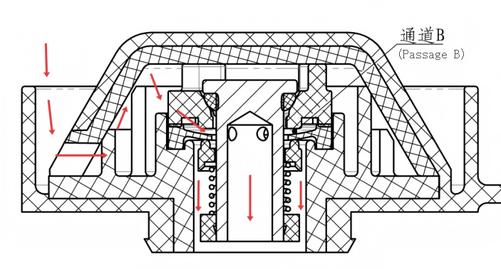 Figure (e) Inhalation demonstration diagram