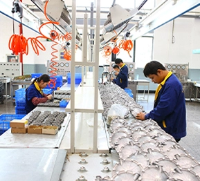 production and inspection equipment