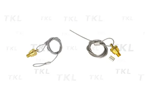 Manual Drain Valve