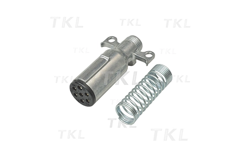 Electric Plug
