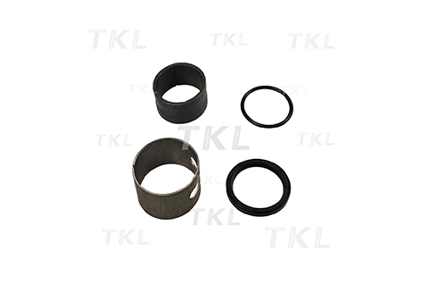 Camshaft Bushing Assy