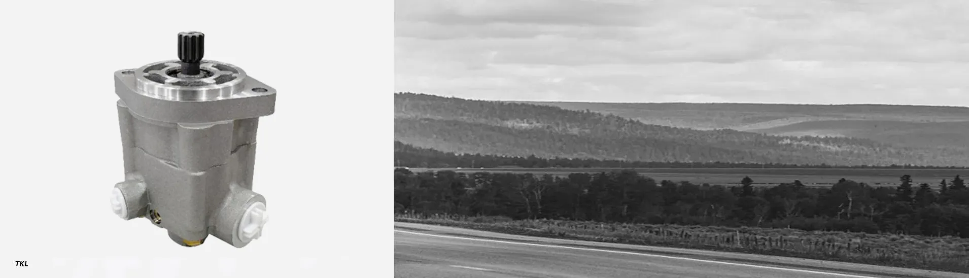 Auto Power Steering Pump