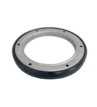 Oil Seal