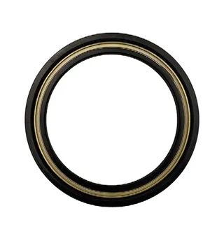 Oil Seal