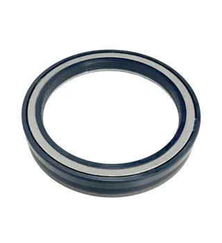 Oil Seal