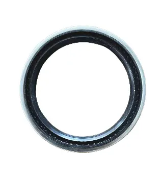 Oil Seal