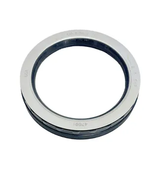 Oil Seal