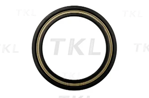 Oil Seal