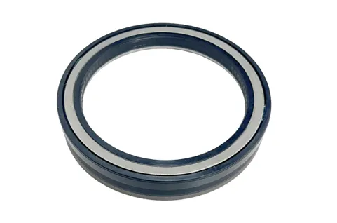 Oil Seal