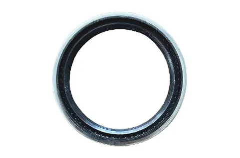 Oil Seal
