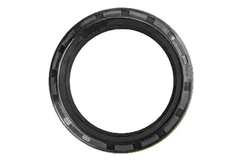 Oil Seal