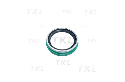 Oil Seal