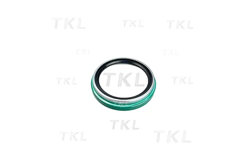 Oil Seal