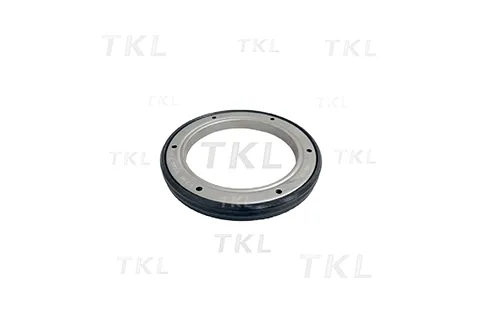 Oil Seal