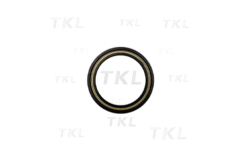 Oil Seal