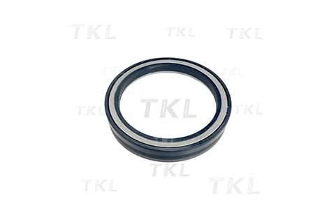 Oil Seal