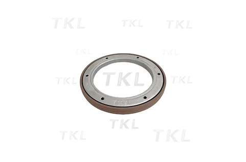 Oil Seal
