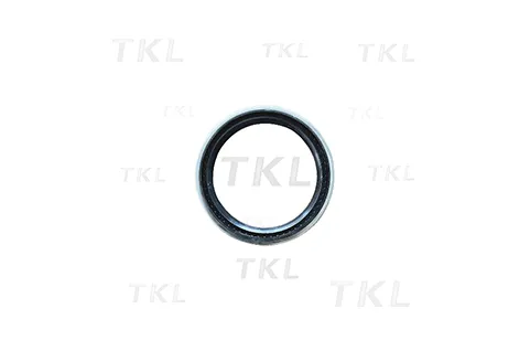 Oil Seal