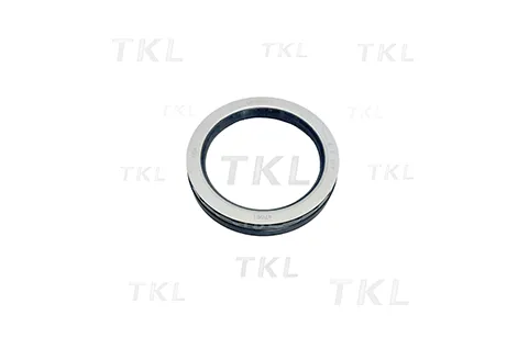 Oil Seal