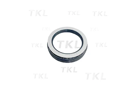Oil Seal