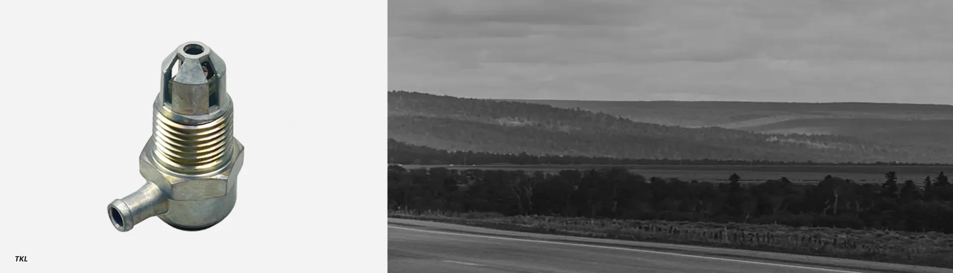 Norgren Tank Vent & Safety Check Valve