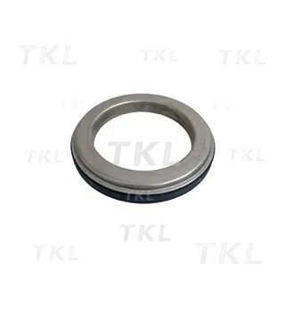 Oil Seal