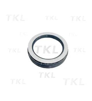 Oil Seal