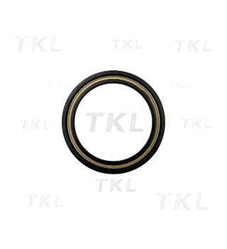 Oil Seal
