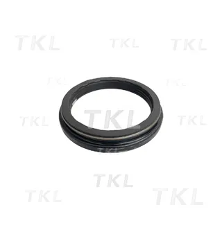 Oil Seal