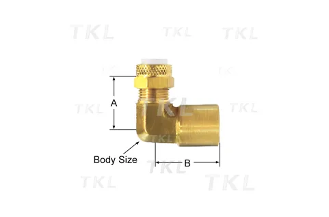 Female Elbow